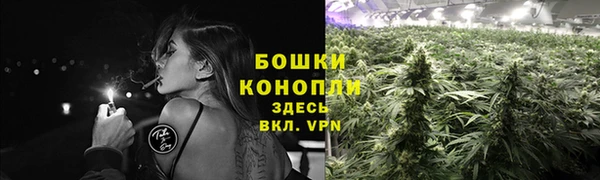 PSILOCYBIN Алексеевка