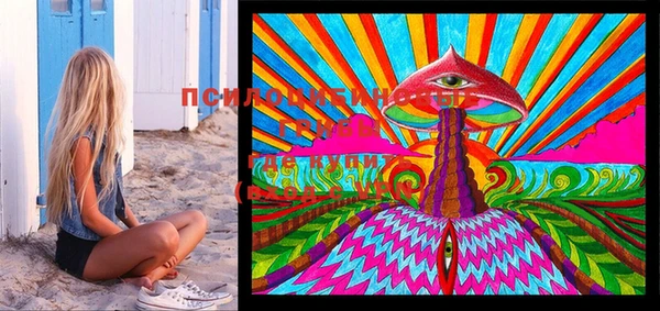 PSILOCYBIN Алексеевка